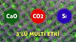 Multigreen Bitki Besleme G&uuml;bresi