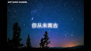 你从未离去-白挺【我不再迷茫 思念是唯一的行囊 满天的星光 有一颗是你的愿望】【动感歌词】