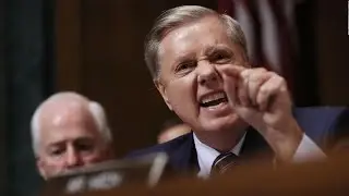Lindsey Graham on Hannity about the Herschel Walker allegations: 
