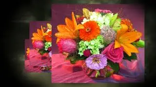 Scott's wedding video portfolio