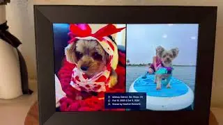 Know Before You Buy: AURA Carver Smart Digital Picture Frame #ad #amazoninfluencer