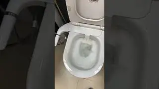 KOHLER TRUE RIMLESS WC MODEL VIVE LIVE FLUSHING.....
