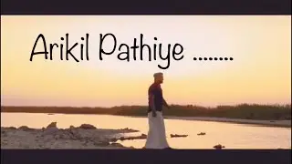 Arikil Pathiye Cover 2020 || Muhammed CK
