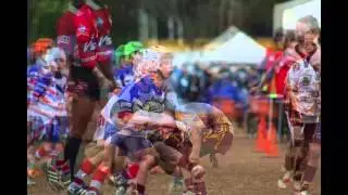Clovelly Crocs Tommy Bishop Shield