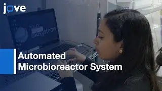 High-Throughput Microbioreactor System-Production: Model IgG1 In CHO Cells l Protocol Preview