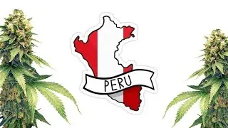 Peru Import /Export Pitch Deck Review