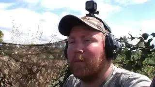 Pigeon, Crow and Magpie shooting July 2020
