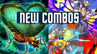 New Beetrooper Combo New Support Beetrooper Deck 2021