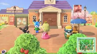 Bam Sings in my Plaza, and I Remove His Pet Flea