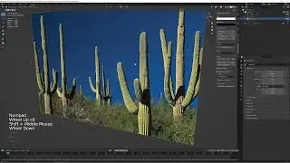 Modeling Cactus in Blender!!