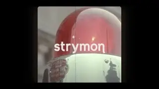 Strymon Engineering Brig dBucket Delay - Sights & Sounds