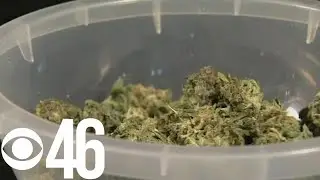 Georgia green lights two companies to grow medical cannabis
