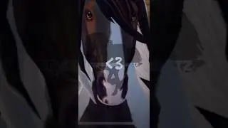 Og idea - @WinterbirdSSO #horse #loan #equestrian #sso #starstable #cute #irishcob