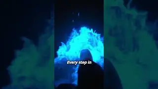 🌊 This Beach Glows in the Dark &mdash; and It&rsquo;s Natural