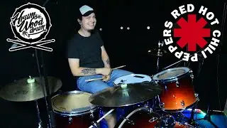 Red Hot Chili Peppers - Dani California (Drum Cover)
