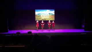 Ierse dans tijdens whiskey proeverij Zoetermeer 22-1-2023