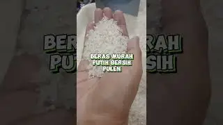 Beras murah