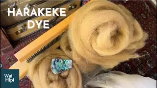Natural Colour from Aotearoa | NZ Flax | Harakeke Dyeing