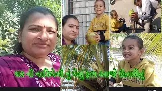 ઘર ની નારિયેલી નું પેલું ફળ આજે ઉતારીયુ vairalvideo#vlog #vivu 