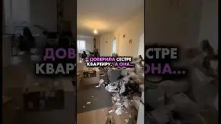 Артикулы WB👇🏼:340731248 анти-жир 340741110 анти-известь 374557853 набор 2в1