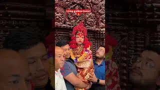 Living goddess kumari #basantapur #durbarsquare #kumari #goddess #god #goviral #fyp #foryou