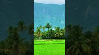#naturelovers#greenery#keralatourism