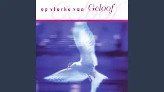 Soos 'n Vlam In Die Nag