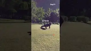 World record 1hours Push Ups Challenge..🔥#shorts #ytshorts #fitness #motivation #trending