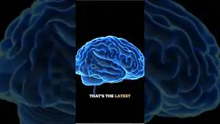Blue Brain? 🧠