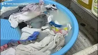 ASMR lavando calcetines con maestro limpio rosa 