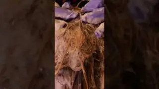 SUPER relaxing Hair Wash💖 #asmr #satisfying #relax