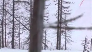 Nordik Mini Predator