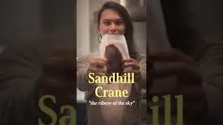 Sandhill Crane #cooking #foodie