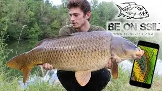 Stalking de bordure - Be On Ssil experience
