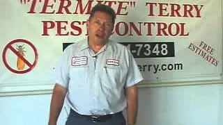 Termite Inspections for Orange County - 