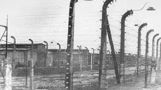 Documents yield evidence and closure for Holocaust survivor