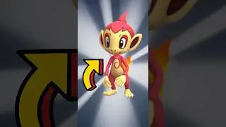 SHINY CHIMCHAR! #pokemongopvp #pokemongoshorts #pokemongoraids #pokemongoevents #pokemongoshiny