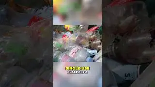 Germany's Bold Move: Tackling Single-Use Plastic Waste!