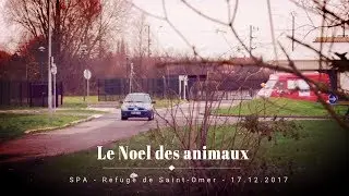 Le Noel des Animaux - SPA Saint-Omer