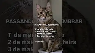 Feriado chegando #fy #feriado #explore #clt 🐈Tesla