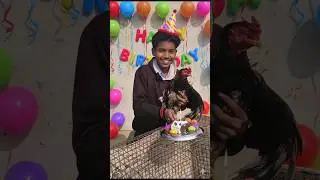 Aaj murge 🐓ka janmdin 🎈 manaya#mini #vlog#birthday#morga#punjabi