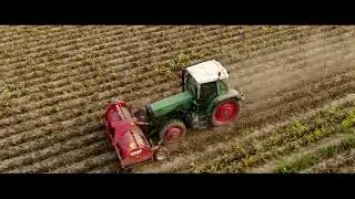 Potato Haulm Topping | GRIMME KS 75-4