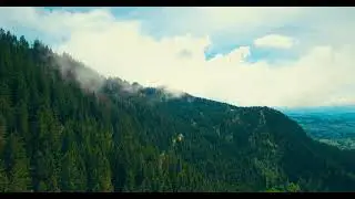 EMOTIONAL SLOW ROCK - AMERICAN ROCK SONG - PLAYLIST 2025 🔥