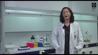TeSP - An&aacute;lises Laboratoriais