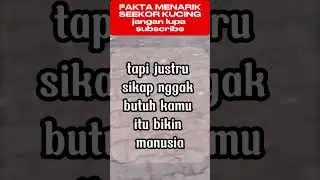 Antara Gangguan dan Kelucuan: Fakta Ilmiah di Balik Perilaku Nakal Kucing