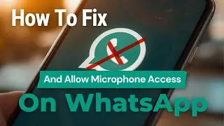 How To Fix And Allow Microphone Access On WhatsApp