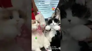 Chongker Realistic Cat Plush Toy: The Cutest Gift for Girls & Ladies