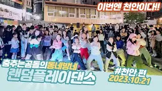 [랜덤댄스] 231021 천안 편!! 춤추는곰돌의 랜덤댄스!! DANCINGBEAR RANDOMDANCE #댄스 #kpop #trandomdance #dancingbear