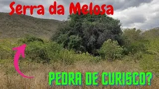 SERIA UMA PEDRA DE CURISCO?