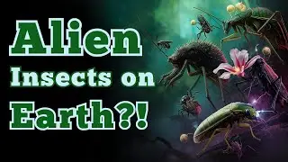 Alien Insects on Earth?!